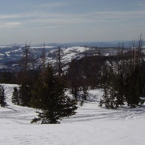 Meet your Posher, Howard